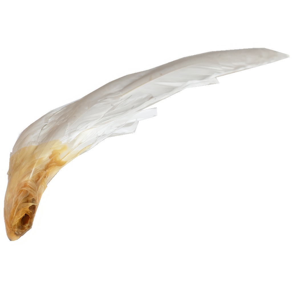 Goose feather for brushing bee frames