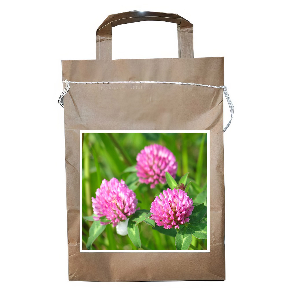 Red Clover seeds - 1 kg