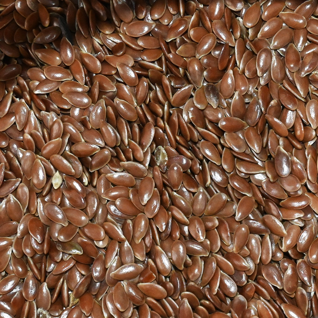 Flax (seeds / bee pasture) - 0.5 kg