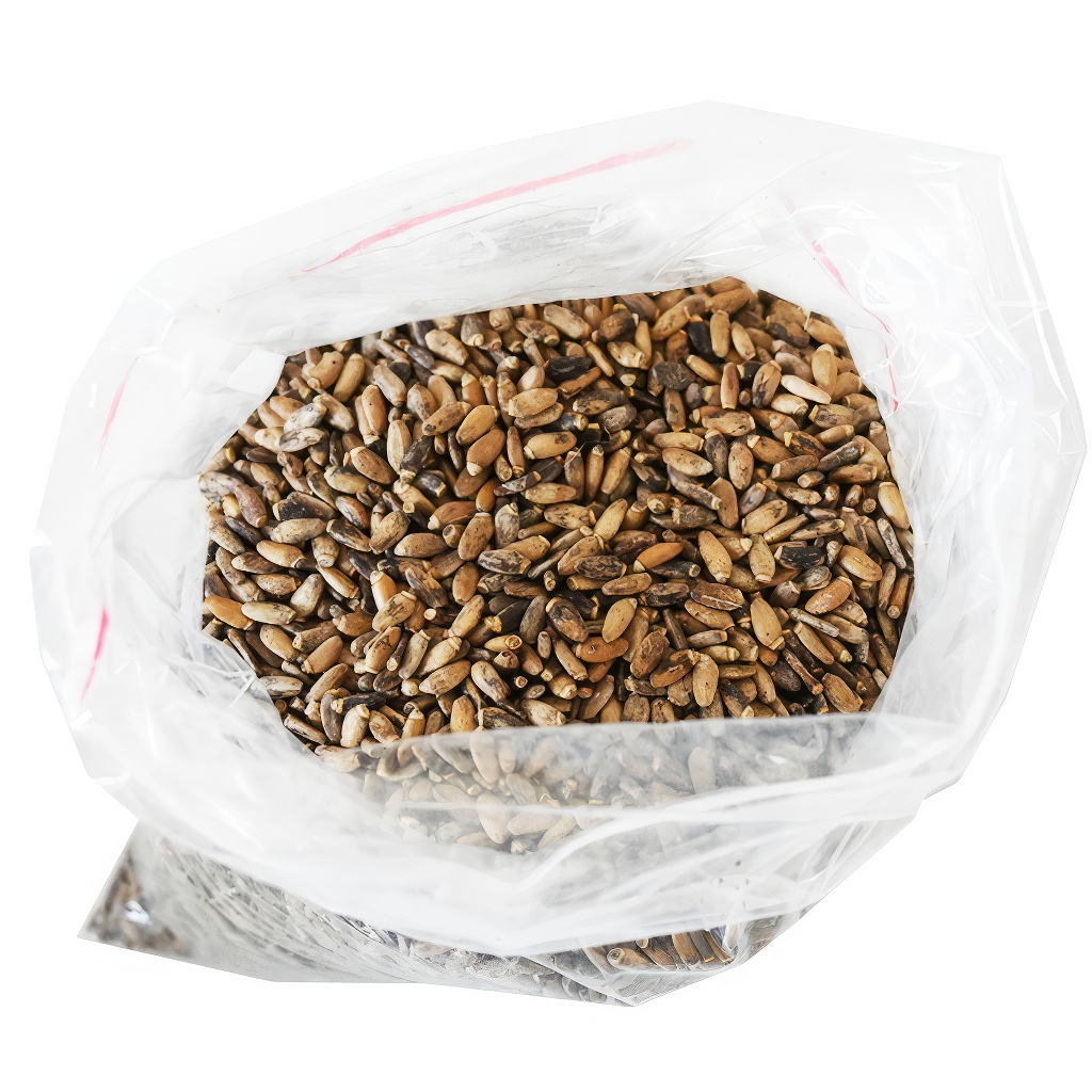 Milk Thistle (seeds / bee forage) - 0.5 kg