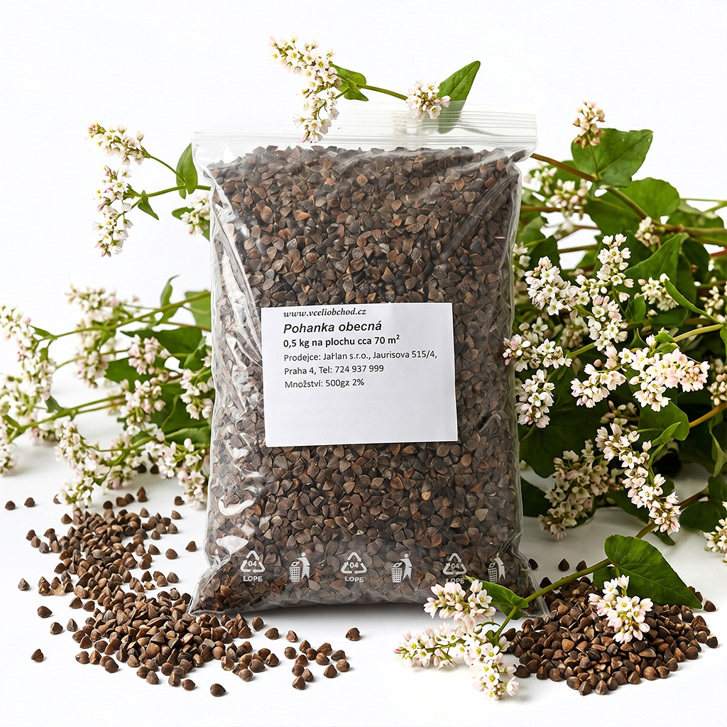 Common Buckwheat (seeds / bee forage) - 0.5 kg