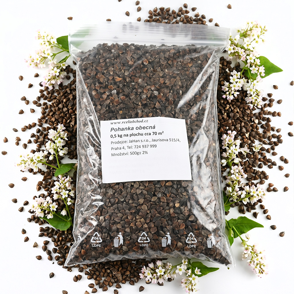 Common Buckwheat (seeds / bee forage) - 0.5 kg