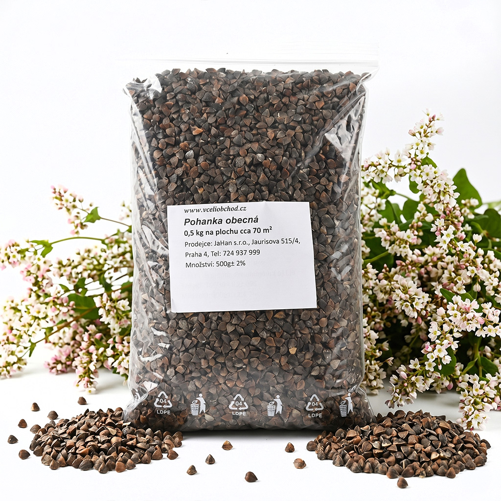 Common Buckwheat (seeds / bee forage) - 0.5 kg