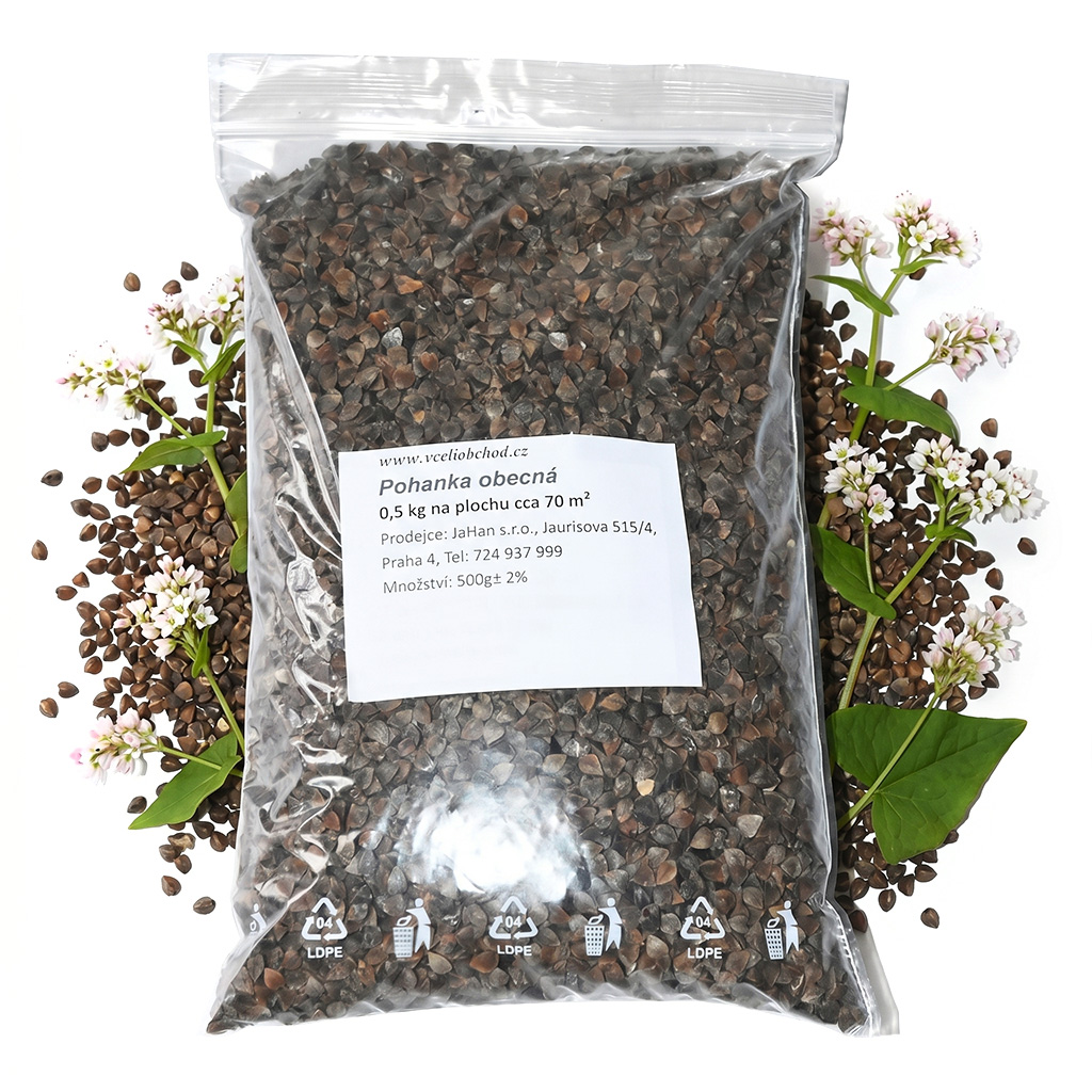 Common Buckwheat (seeds / bee forage) - 0.5 kg