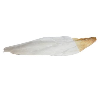 Goose feather for brushing bee frames