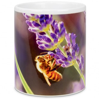Cup ApiSina lavender