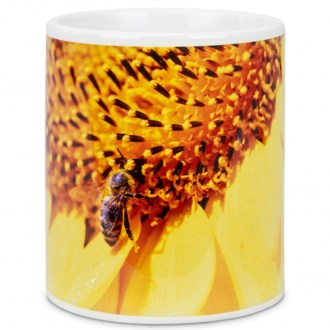 Cup ApiSina Sunflower
