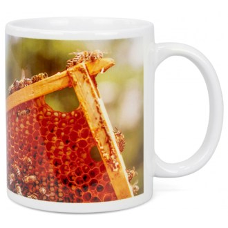 Cup ApiSina Frame