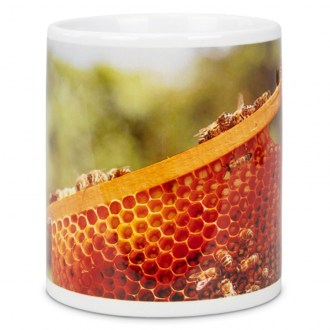Cup ApiSina Frame