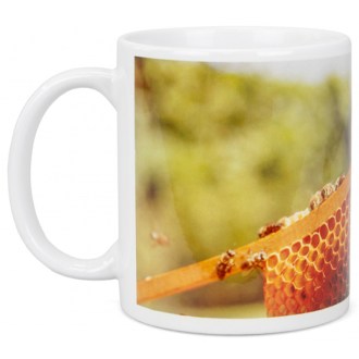 Cup ApiSina Frame