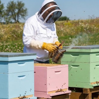 Bee jacket with hood - S-XXL