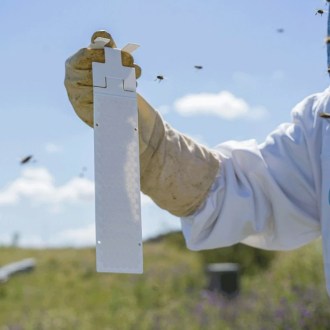 Calistrip Biox 6.44 g - 10 strips