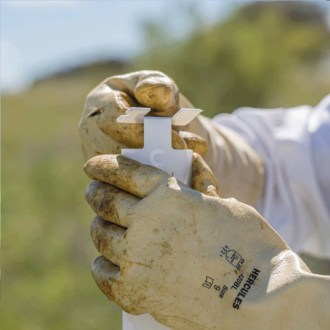 Calistrip Biox 6.44 g - 10 strips