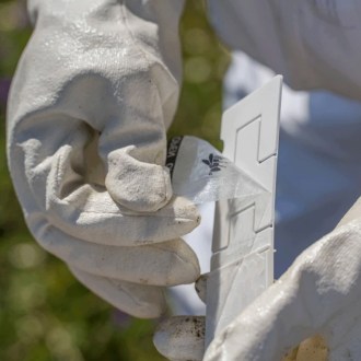 Calistrip Biox 6.44 g - 10 strips