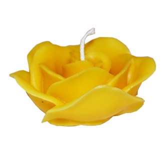 Candles mold LZ043