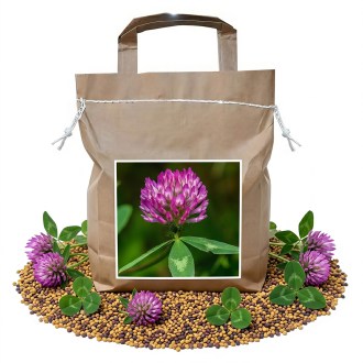 Red Clover seeds - 1 kg