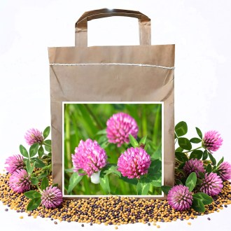 Red Clover seeds - 1 kg