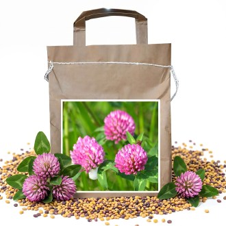 Red Clover seeds - 1 kg