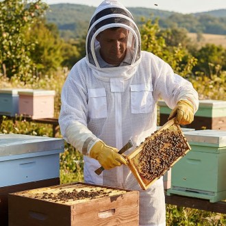 Vented bee suit with hood sizes.: S - XXL