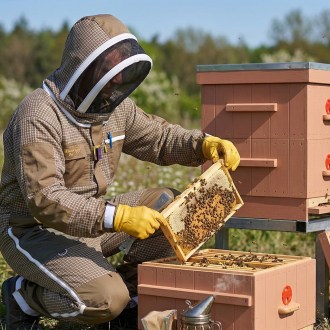 Beekeeping suit Elegant Bee vented - S-XXXXL