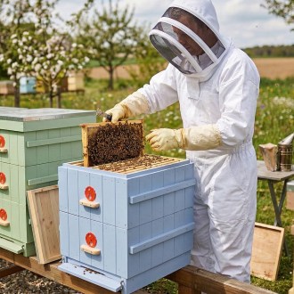 Bee suit with hood sizes.: S - XXL