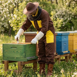 Brown bee suit with hat sizes: S - XXXL