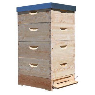 Langstroth Beehive 4 x 3/4 (185) - 10 frames - dovetail joint