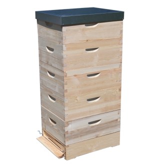 Langstroth Beehive 5 x 3/4 (185) - 10 frames - dovetail joint