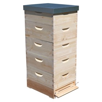Langstroth Beehive 5 x 3/4 (185) - 10 frames - dovetail joint