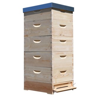 Langstroth Beehive 5 x 3/4 (185) - 10 frames - dovetail joint
