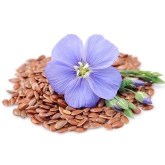 Flax (seeds / bee pasture) - 0.5 kg