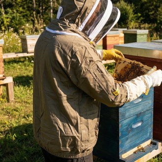 Beekeeping jacket Elegant Bee - S-XXXXL