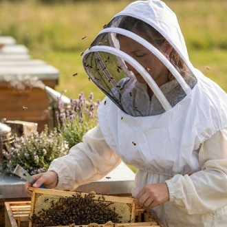 Pullover Veil Mellarius with cotton canvas