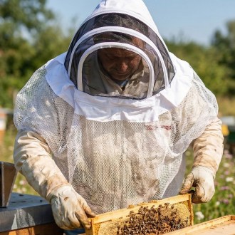 Pullover Veil Mellarius with veil