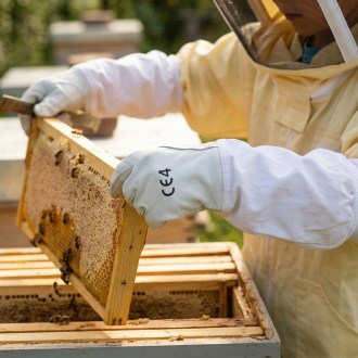 Children's Pig Skin Gloves, sizes: 4-5