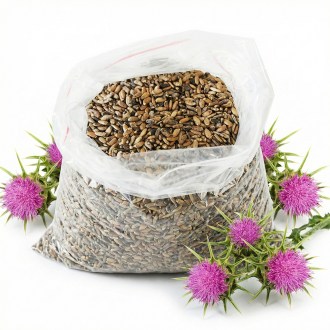 Milk Thistle seeds - 0.5 kg