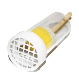 Past queen marking tube - E type