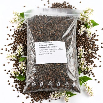 Common buckwheat seeds - 0.5 kg