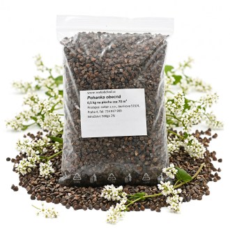 Common Buckwheat (seeds / bee forage) - 0.5 kg