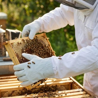 Goat Skin Gloves, sizes: S-XXL