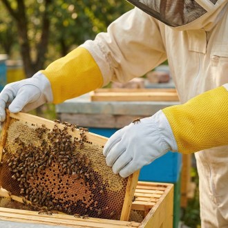 Goat Skin Gloves, with ventilation - sizes: S-XXL