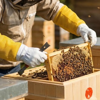 Goat Skin Gloves, with ventilation - sizes: S-XXL