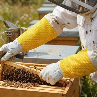 Goat Skin Gloves, with ventilation - sizes: S-XXL