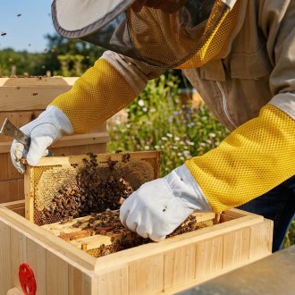 Goat Skin Gloves, with ventilation - sizes: S-XXL