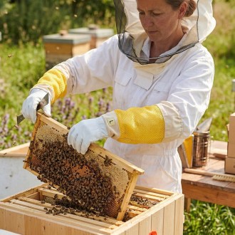Goat Skin Gloves, with ventilation - sizes: S-XXL