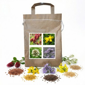 Annual Bee Mixture Type 2 - 1 kg