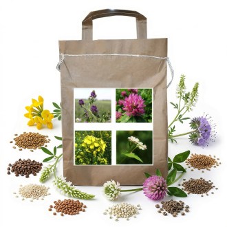 Nectar-producing Harmony Blend for Bees, Perennial - 1 kg