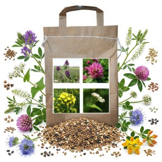 Nectar-producing Harmony Blend for Bees, Perennial - 1 kg