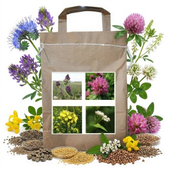 Nectar-producing Harmony Blend for Bees, Perennial - 1 kg