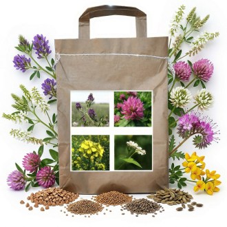 Nectar-producing Harmony Blend for Bees, Perennial - 1 kg